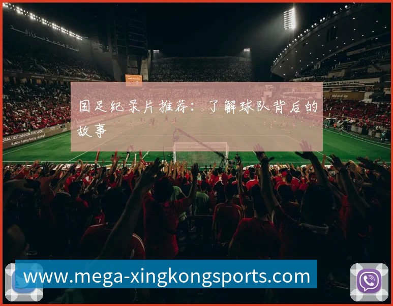 登录器 登录器