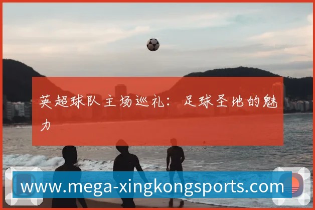 未来规划